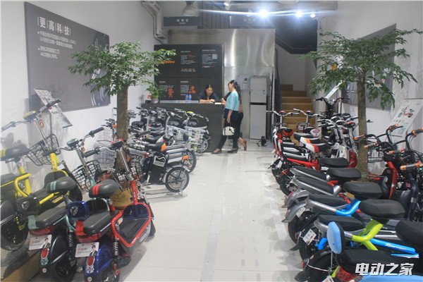 ŵ (1).jpg
