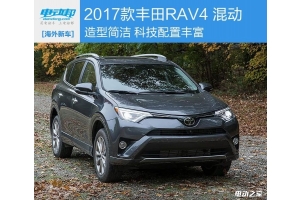 RAV4춯ʳ¯ 2017