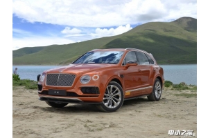 촿綯SUV 2020Ƴ
